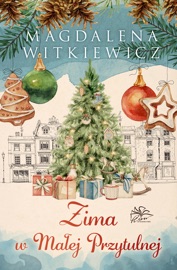 W Małej Przytulnej. Tom 3. Zima w Małej Przytulnej - Magdalena Witkiewicz