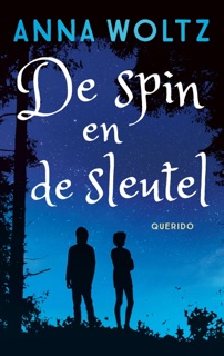 De spin en de sleutel by Anna Woltz