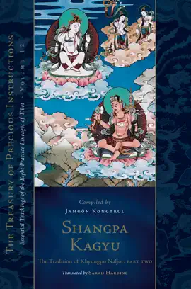 Read: Shangpa Kagyu: The Tradition of Khyungpo Naljor, Part Book Two