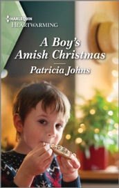 A Boy's Amish Christmas - Patricia Johns
