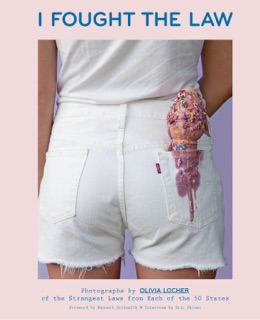 I Fought the Law by Kenneth Goldsmith