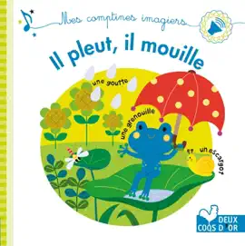 Read: Il Book pleut, il mouille - livre sonore