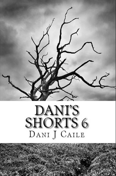 Dani's Shorts 6