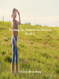Feeding the Damsel in Distress Book I - Travis Breeding