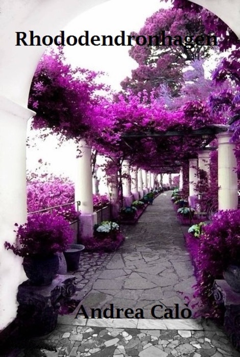 Rhododendronhagen