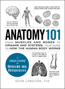 Anatomy 101 - Kevin Langford Cover Art