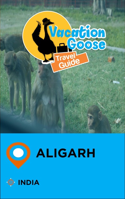Vacation Goose Travel Guide Aligarh India
