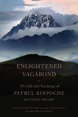 Read: Enlightened Vagabond Book