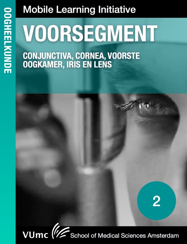 Voorsegment
