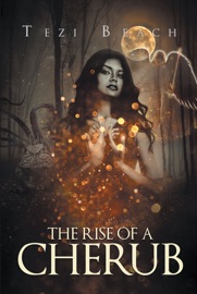Livres Couvertures de The Rise Of A Cherub