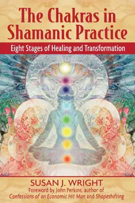 Read: Book The Chakras in Shamanic Practice