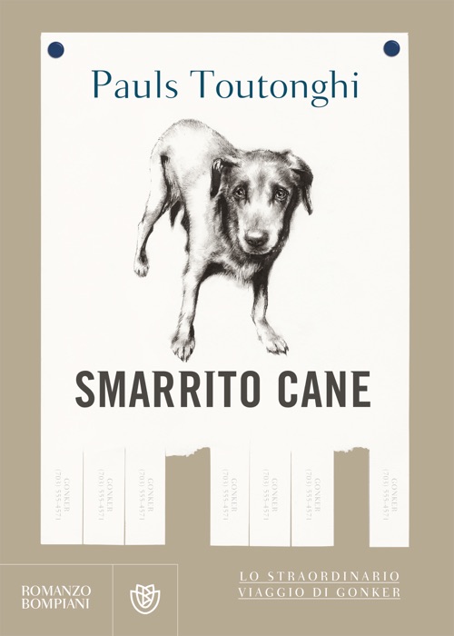 Smarrito cane