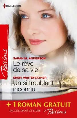 Read: Le rêve de sa vie - Un si troublant inconnu - Deux Book jours pour s'aimer