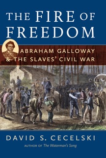 The Fire of Freedom by David S. Cecelski