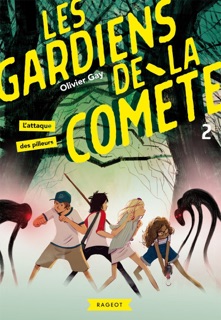 Les gardiens de la comète - L'attaque des pilleurs by Olivier Gay