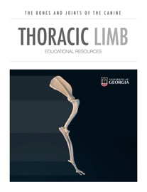 Thoracic Limb - Educational Resources, University of Georgia