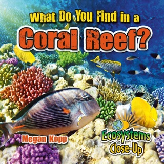 What Do You Find in a Coral Reef? by Megan Kopp
