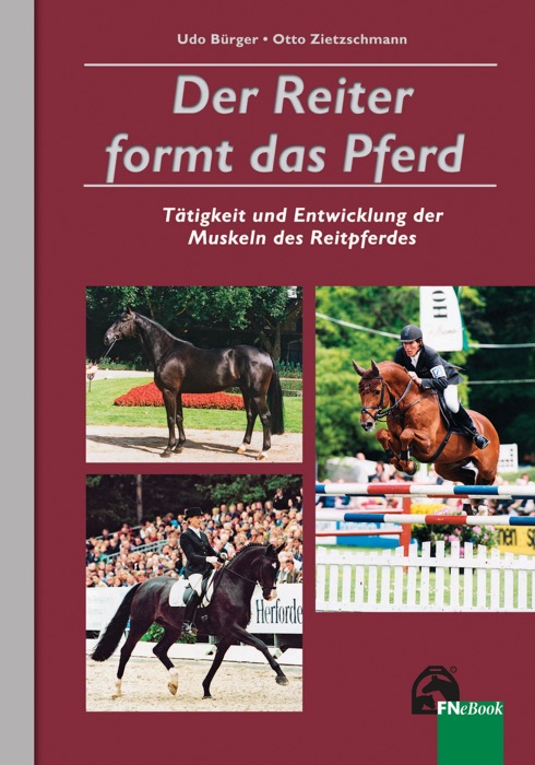 Der Reiter formt das Pferd