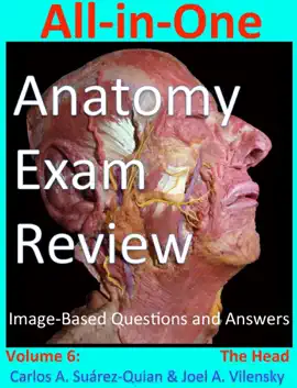 All-in-One  Anatomy  Exam Review