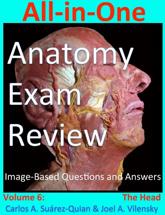 All-in-One  Anatomy  Exam Review