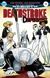 Deathstroke (2016-) #23 - Priest & Diogenes Neves