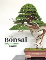 Bonsai - The Beginners Guide