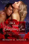 On a Cold Christmas Eve by Bethany M. Sefchick Book Summary, Reviews and Downlod