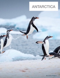 Antarctica - Catrina Hodgson