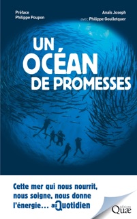 Un océan de promesses by Anaïs Joseph & Philippe Goulletquer