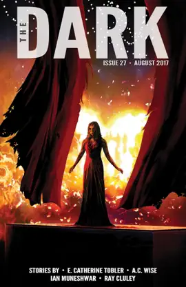 Read: The Dark Book Issue 27