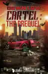 Down Low Cartel by Solaé Dehvine Book Summary, Reviews and Downlod