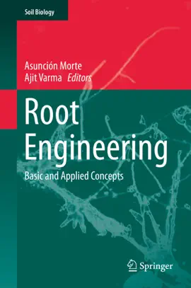 Read: Root Book Engineering