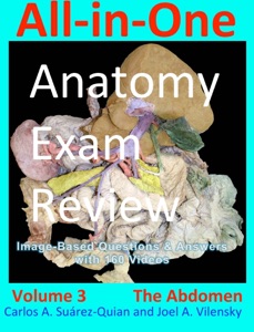 All-in-One Anatomy Exam Review: Volume 3. The Abdomen