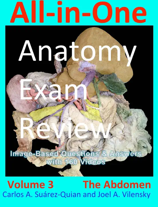 All-in-One Anatomy Exam Review: Volume 3. The Abdomen