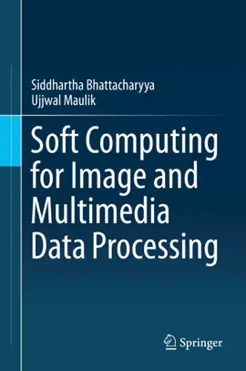 Read: Soft Computing for Image and Multimedia Data Processing Book
