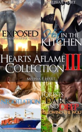 Hearts Aflame Collection III: 4-Book Bundle - Melissa F. Hart