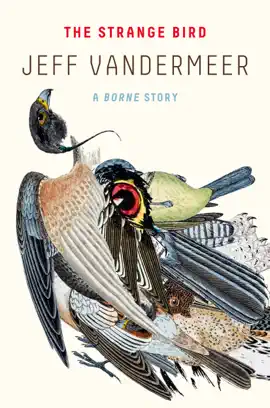 Read: The Strange Book Bird