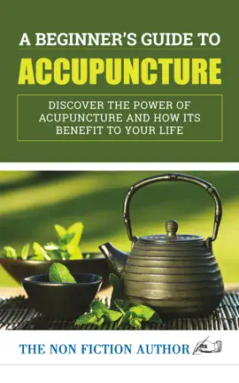 A Beginner’s Guide To Acupuncture