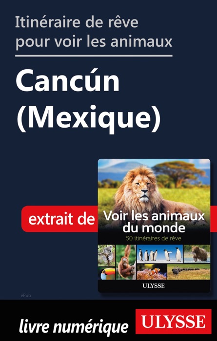 Itinéraire de rêve pour voir les animaux - Cancún (Mexique)