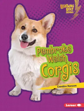 Read: Pembroke Welsh Book Corgis