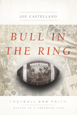 Bull in the Ring - Joe Castellano Cover Art