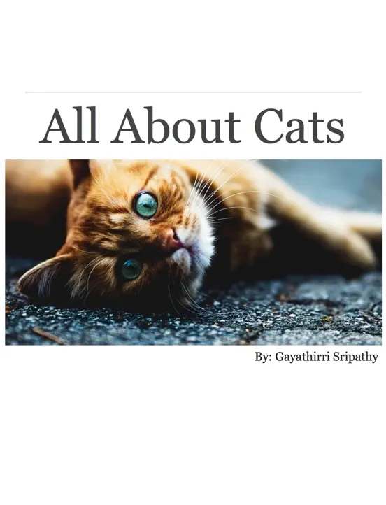 All About Cats