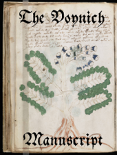 The Voynich Manuscript - Wilfrid Voynich &amp; Anonymous Cover Art