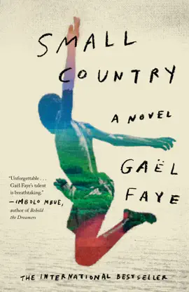 Read: Book Small Country