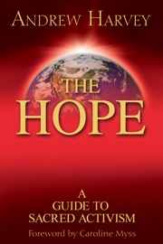 The Hope - Andrew Harvey & Seymour Bernstein