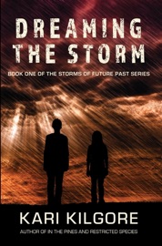 Dreaming the Storm - Kari Kilgore