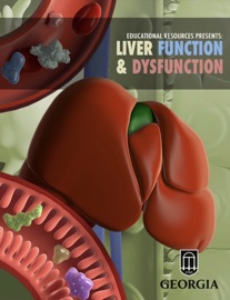Liver Function & Dysfunction - Educational Resources, University of Georgia