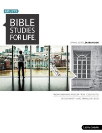 Bible Studies for Life: Adult Leader Guide - NIV - R. Brian Gass, Juan R. Sanchez & Alex Himaya