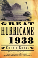Cherie Burns - The Great Hurricane, 1938 artwork