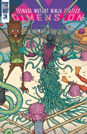 Teenage Mutant Ninja Turtles: Dimension X #3 - Aubrey Sitterson